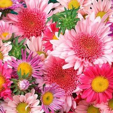 Схема вышивки «БУКЕТ»