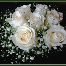 Схема вышивки «роза»