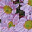 Предпросмотр схемы вышивки «Хризантемы» (№157786)