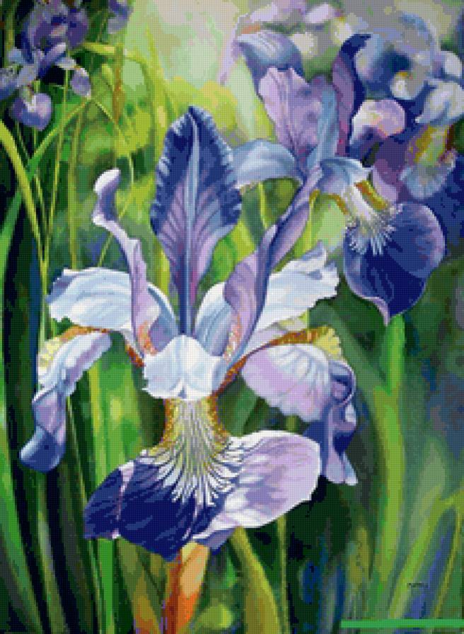 Серия "Букет" - цветы, ирисы, букет - предпросмотр