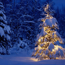 Схема вышивки «№157923»