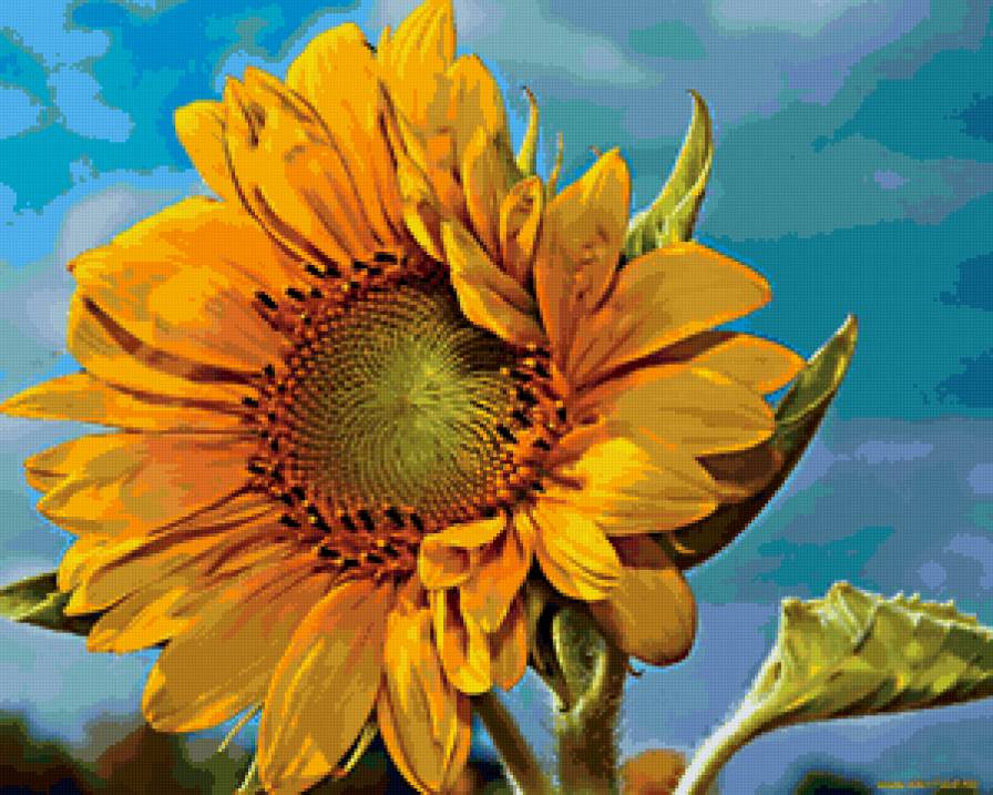 Подсолнух - предпросмотр