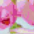 Предпросмотр схемы вышивки «цветочки» (№157941)