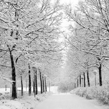 Схема вышивки «Зима»