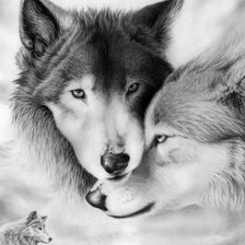 Схема вышивки «№157972»