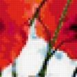 Предпросмотр схемы вышивки «маки» (№157983)