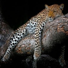 Схема вышивки «№158015»