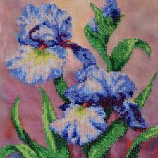 Схема вышивки «ирисы 2»