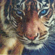 Схема вышивки «Усатый  - полосатый»