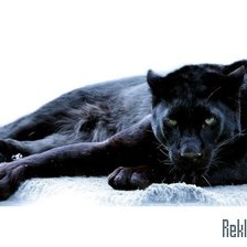 Схема вышивки «Ледяное спокойствие»