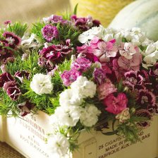 Схема вышивки «Корзинка с гвоздичками»