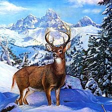 Схема вышивки «Северный олень»