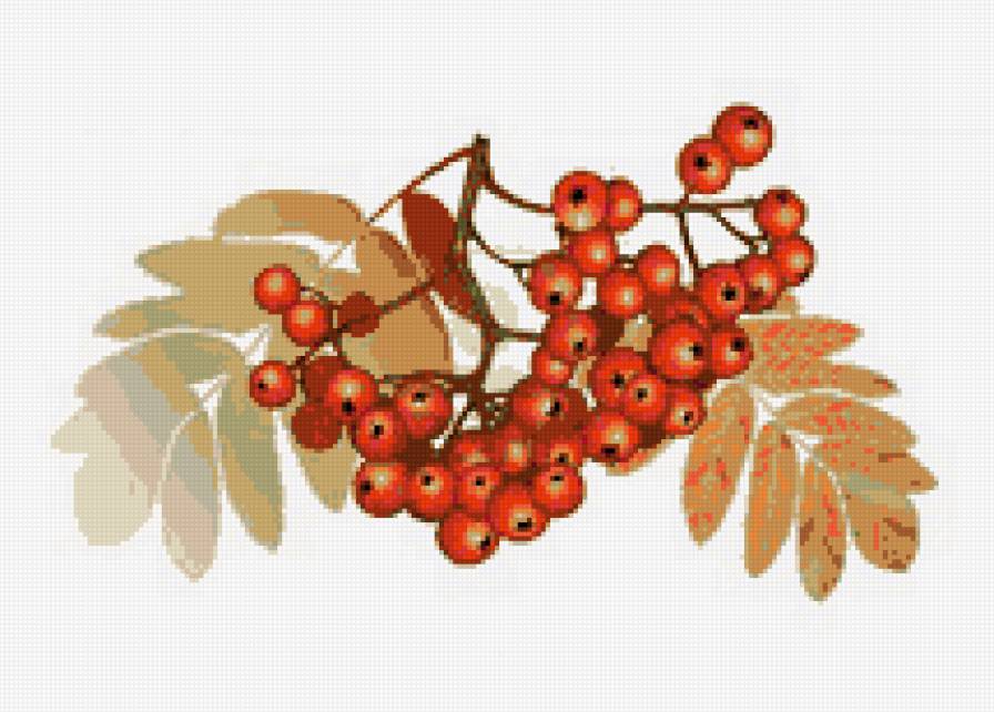 Рябина - рябинка, панно, гроздья, ягодки, ягода, рябина - предпросмотр