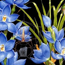 Схема вышивки «Цветы»