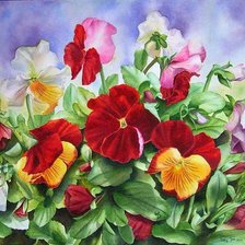 Схема вышивки «анютины глазки»