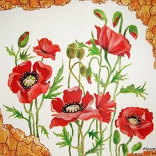 красные маки