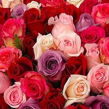 Схема вышивки «№159200»