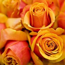 Схема вышивки «№159267»