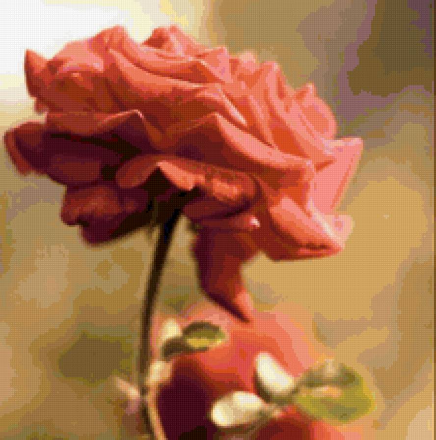 №159277 - розы, цветы, розовые - предпросмотр