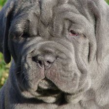 Схема вышивки «№159284»