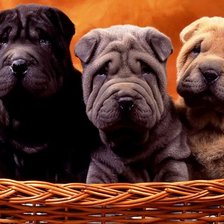 Схема вышивки «№159285»