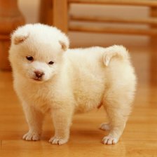 Схема вышивки «№159287»