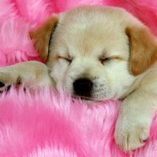 Схема вышивки «№159291»