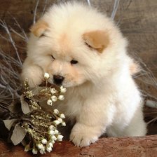 Схема вышивки «№159293»