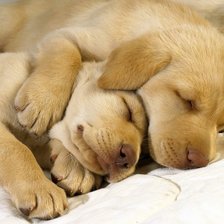 Схема вышивки «№159294»