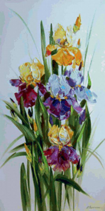 ирисы - ирисы, цветы, букет - предпросмотр