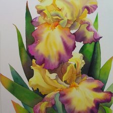 Схема вышивки «ирисы»