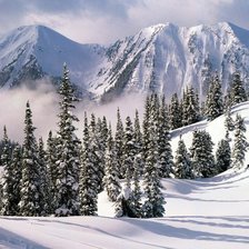 Схема вышивки «зимний пейзаж»