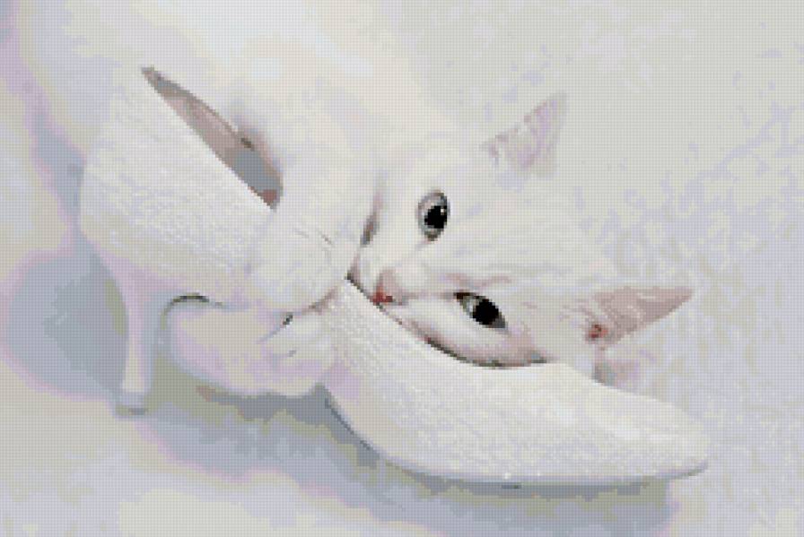 №159682 - кошки, животные, котята - предпросмотр