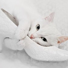 Схема вышивки «№159682»