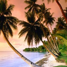 Схема вышивки «№159701»