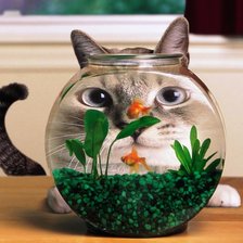 Схема вышивки «котяра»