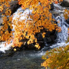 Схема вышивки «осенний пейзаж»
