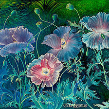 Схема вышивки «неоновые маки»