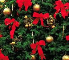 !!!!!!!!!!!!!!!!!!!!!!!!!!!!!!!!!!!!