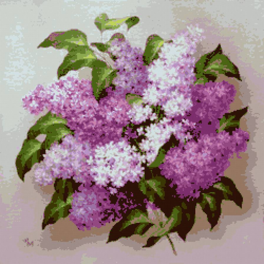 Букет сирени - предпросмотр