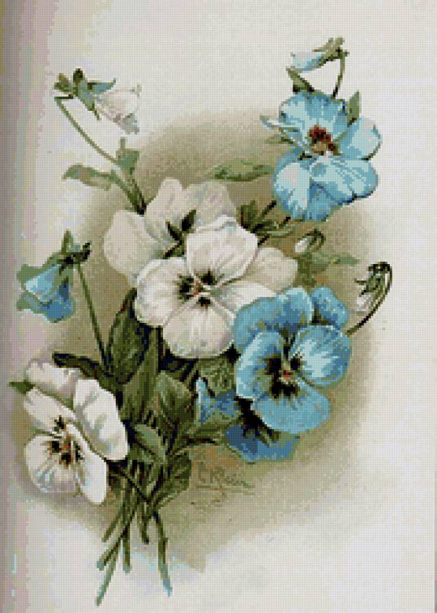 анютины глазки - анютины глазки - предпросмотр