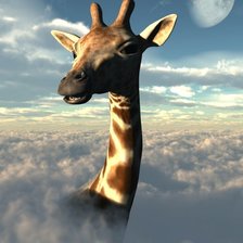 Схема вышивки «серия "стиль-жираф"»