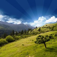 Схема вышивки «№160557»