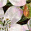 Предпросмотр схемы вышивки «№160593»