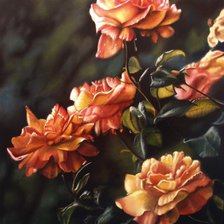 Схема вышивки «эти дивные розы»