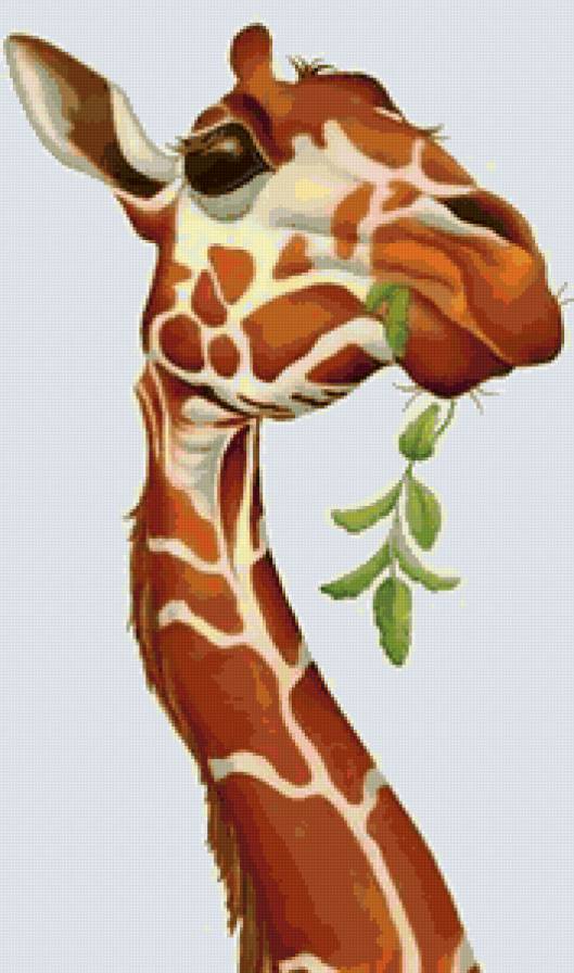 №160747 - предпросмотр