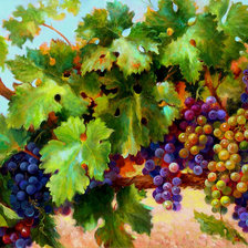 Схема вышивки «виноградная лоза»