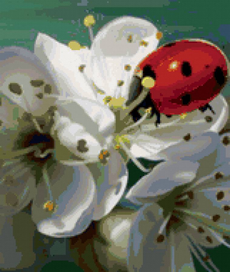 божья коровка на цветке - живопись, цветы, растения - предпросмотр