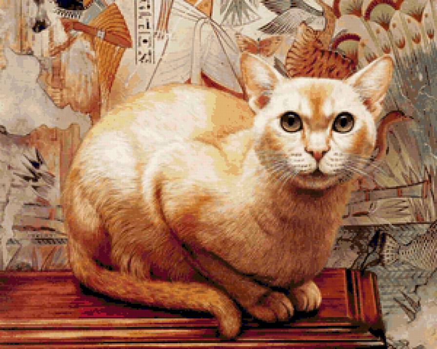 Кот - животные, кот, кошка - предпросмотр