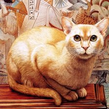 Схема вышивки «Кот»